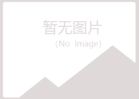 汶川县晓夏咨询有限公司